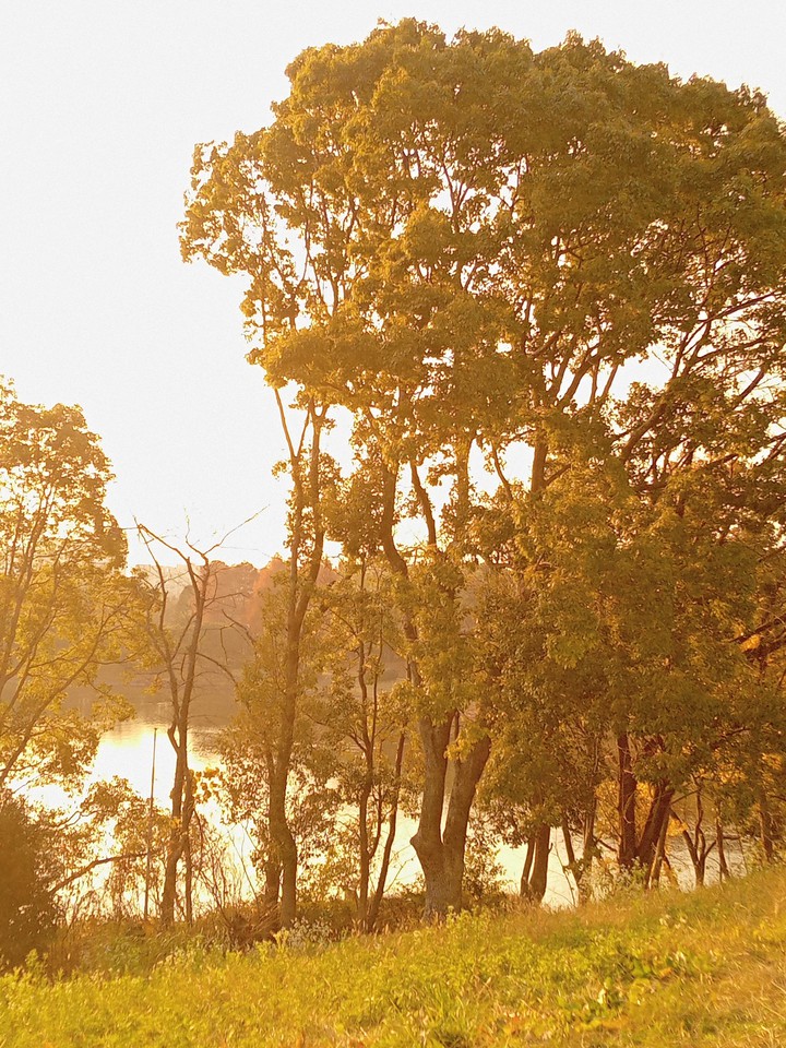 view from a hill