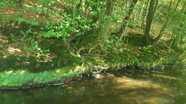 Brölerbach