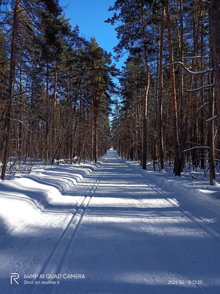 лыжная коллея