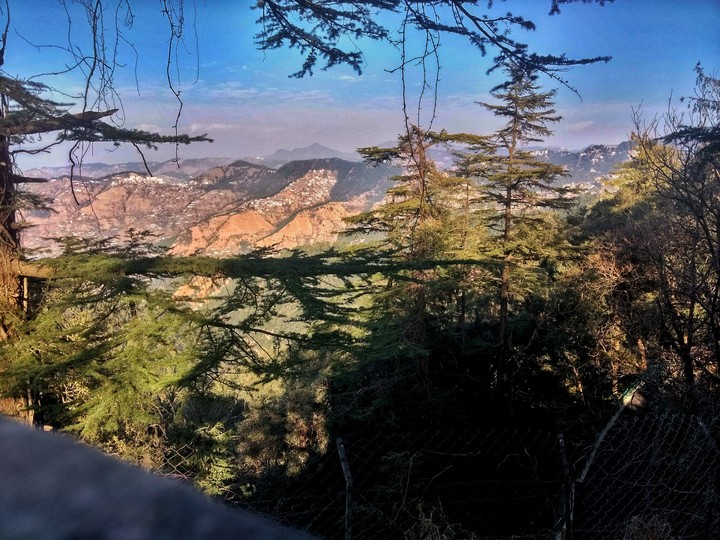 nature