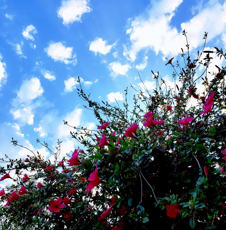 Lovely Day