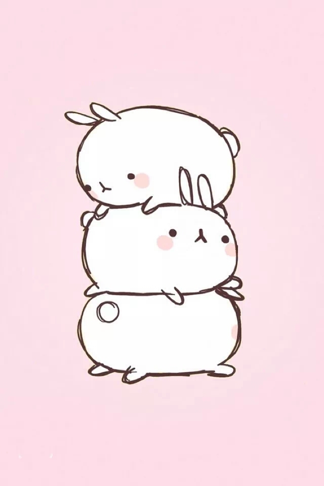 rabit