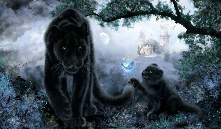 Panther.