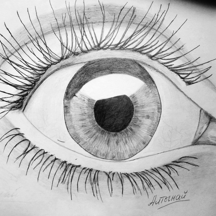 I made. ...