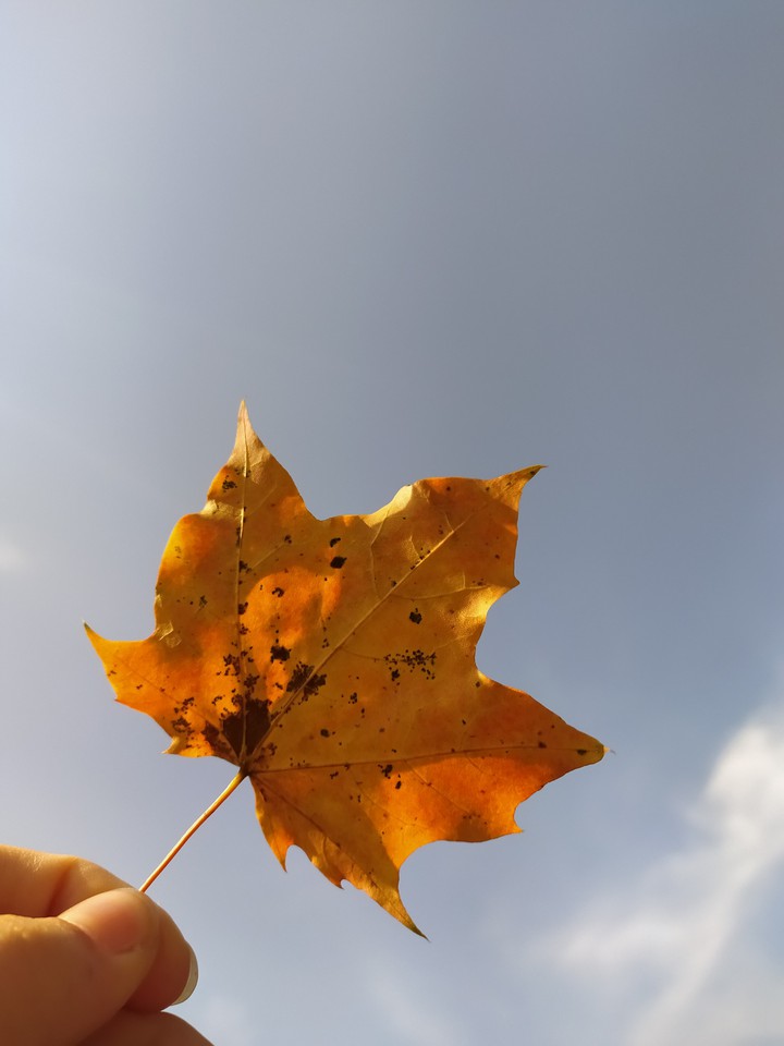 ??☁