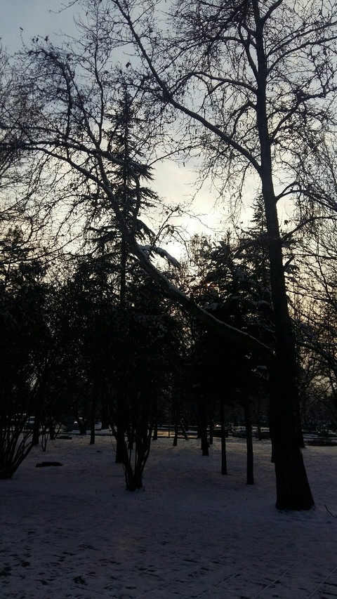 cold