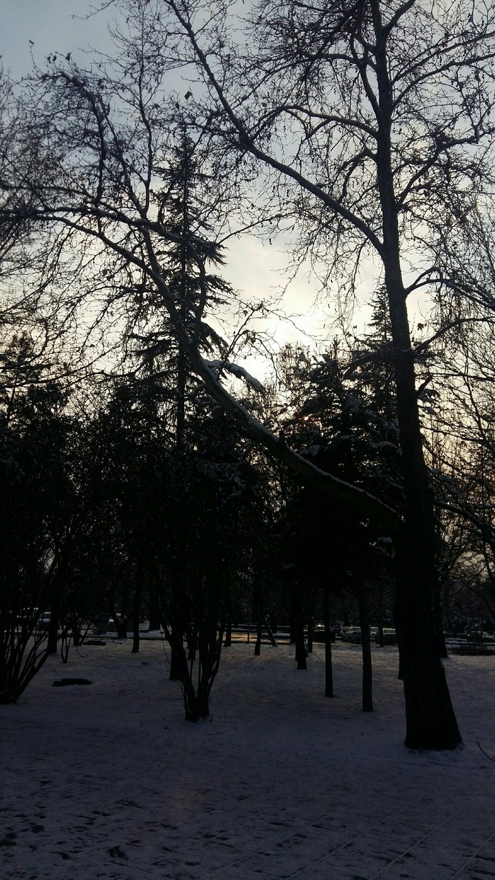 cold