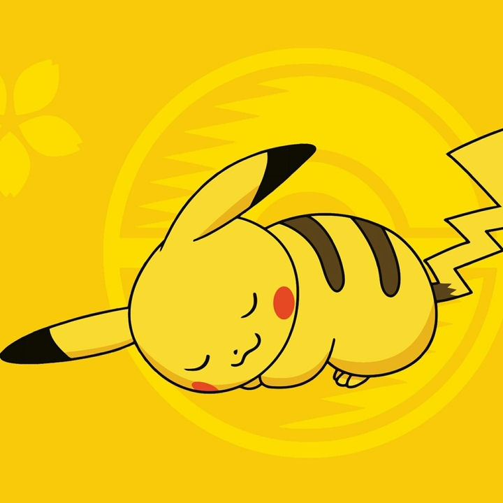Pikachu Sleeping
