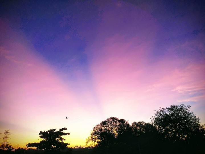beautiful sunrise