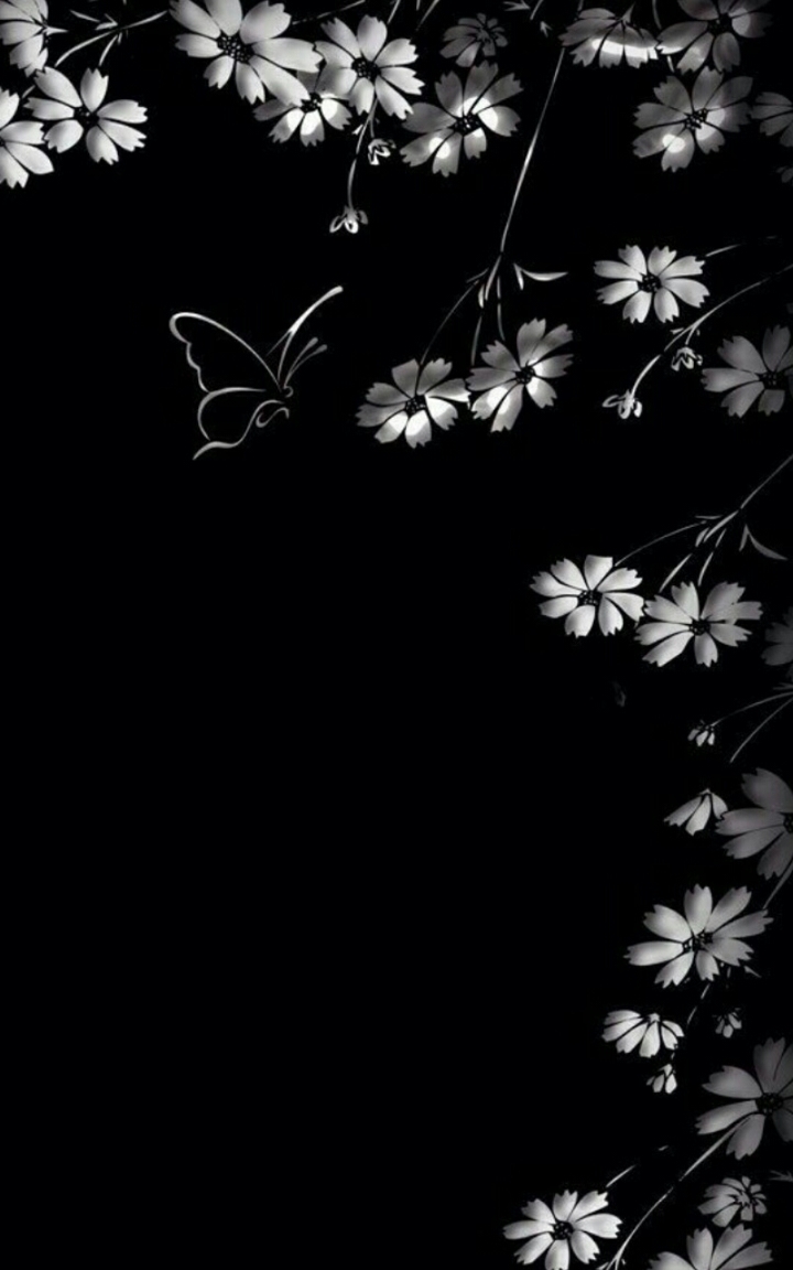 Elegant Silence