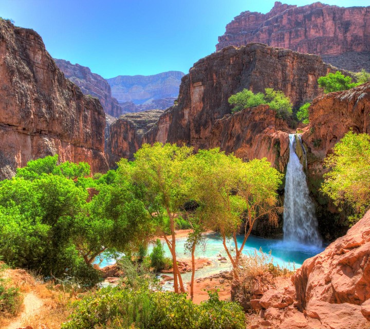 nature