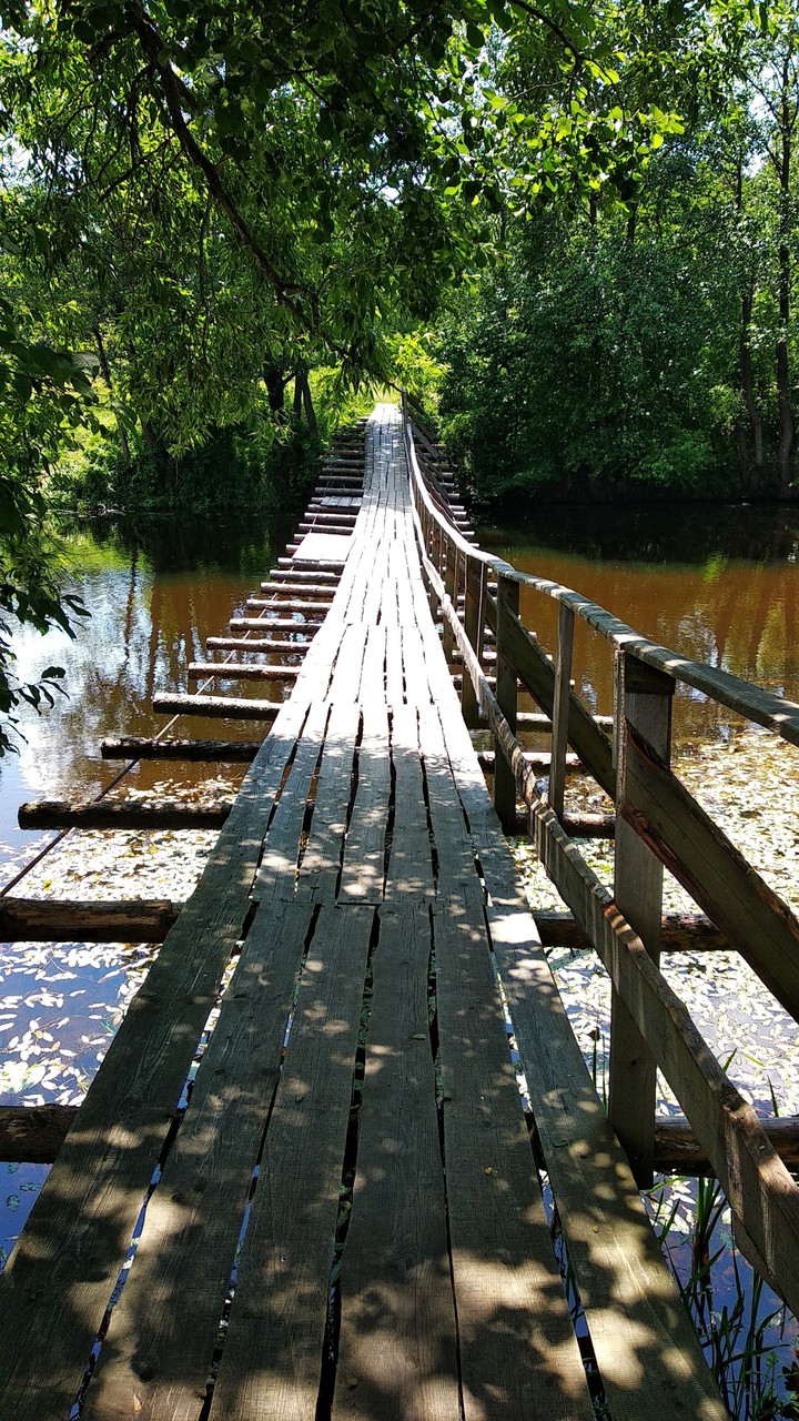 Suspension bridge