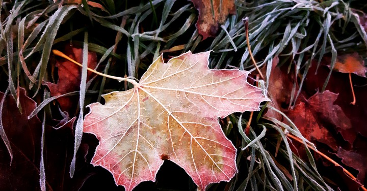 Herbstlich