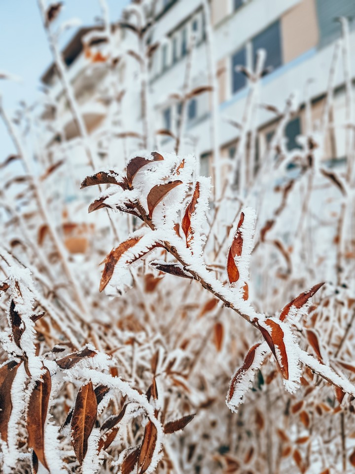 Winter❄❄❄