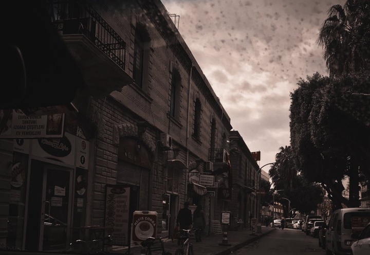 #city #tree #town