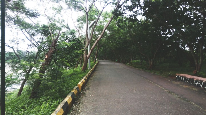 nature lovers