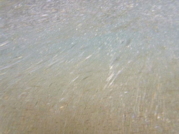 under the sea...