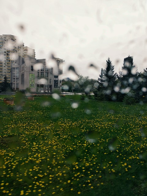 on the other side of the glass