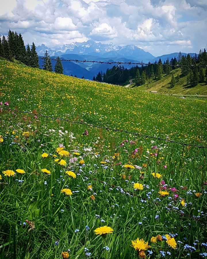 Austria
