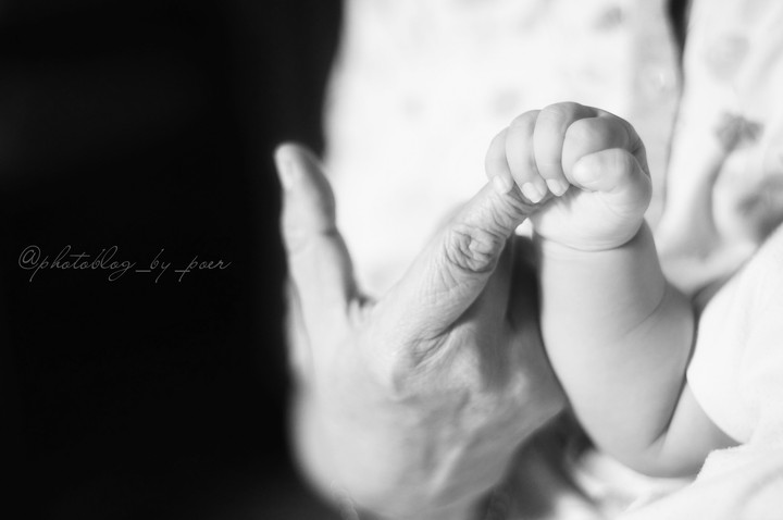 To Have and To Hold