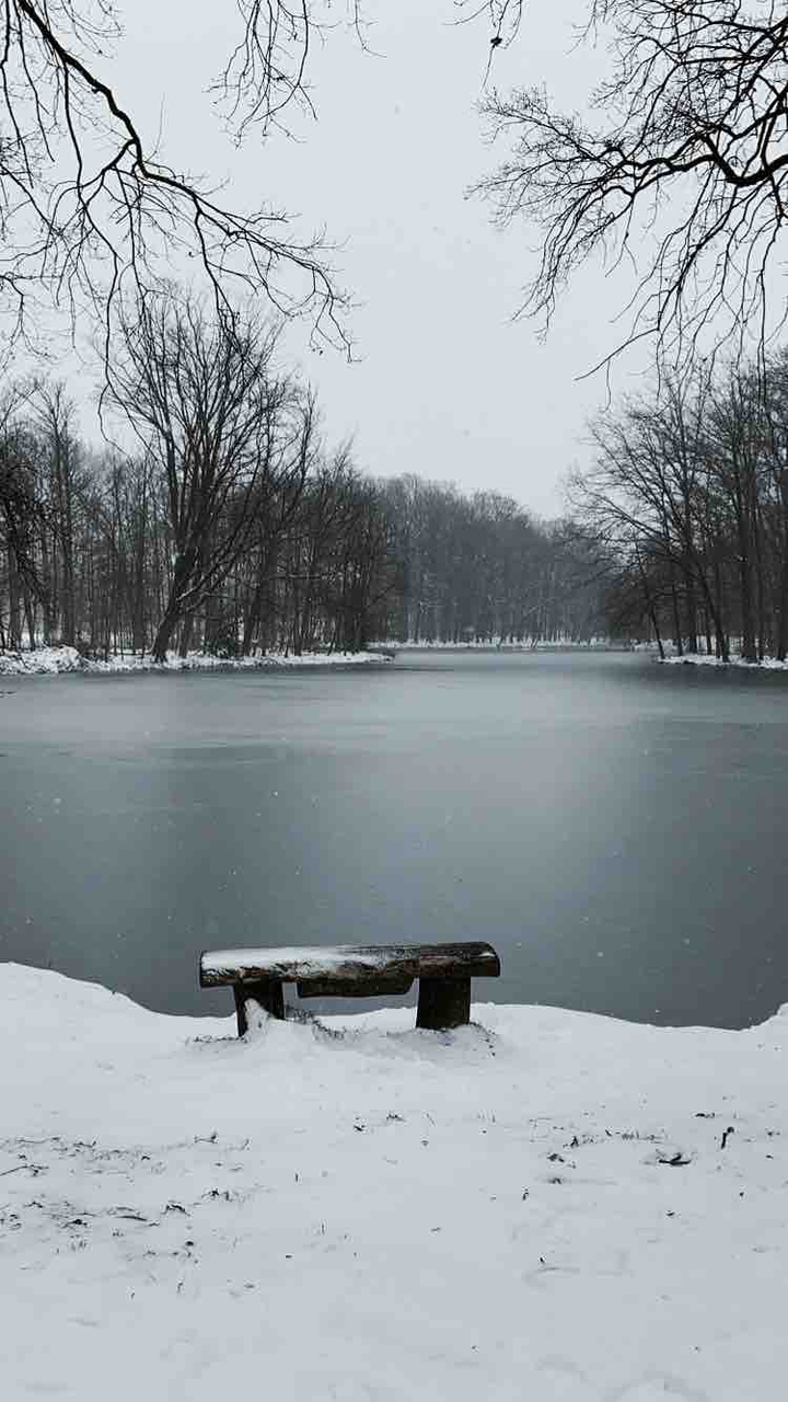 winter