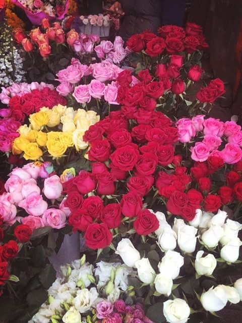 Roses in flower shop