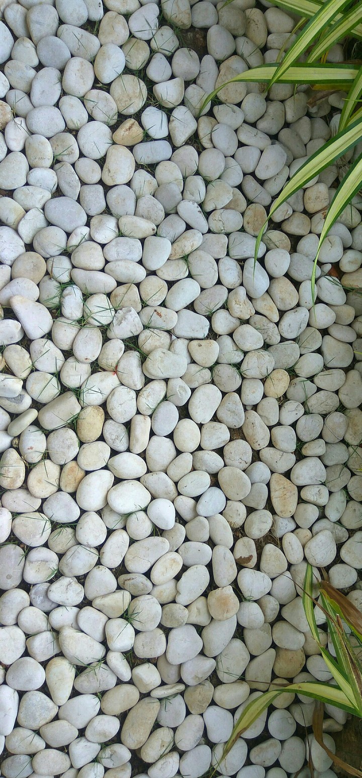 stones