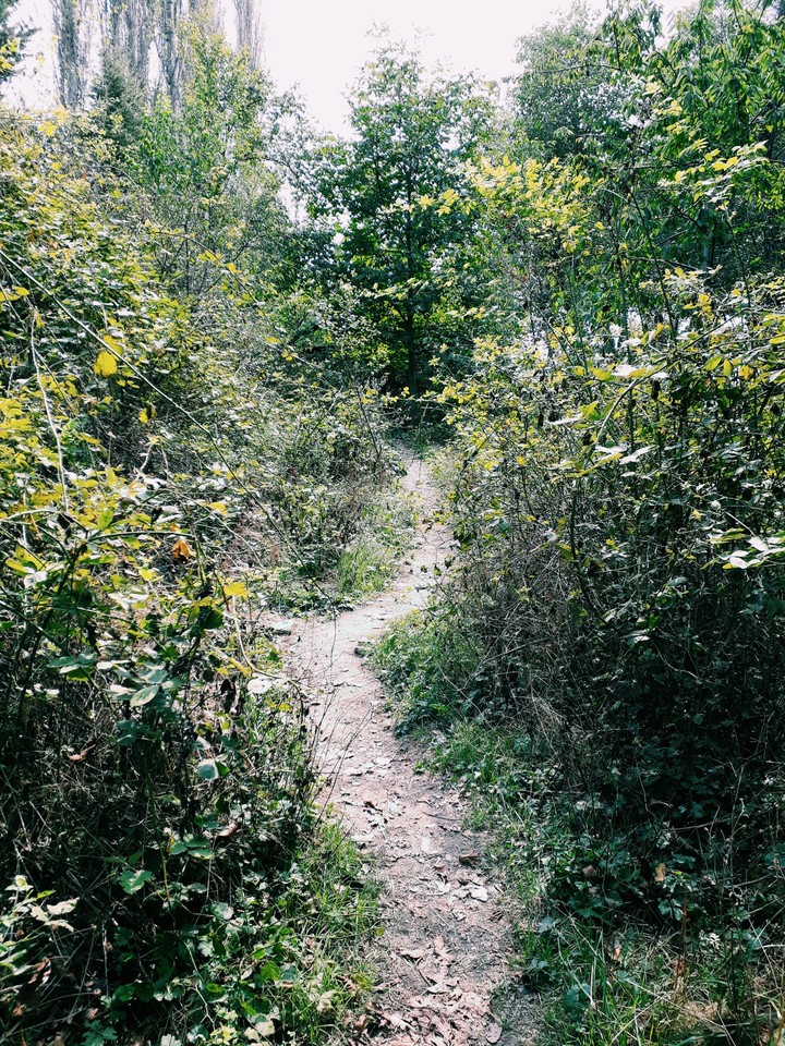 The way