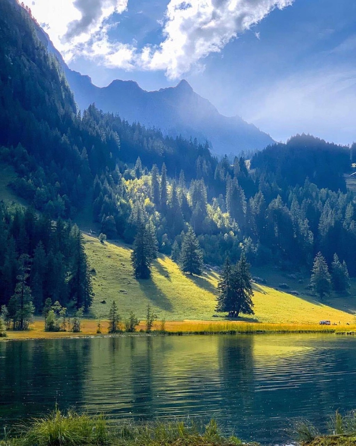 Nature