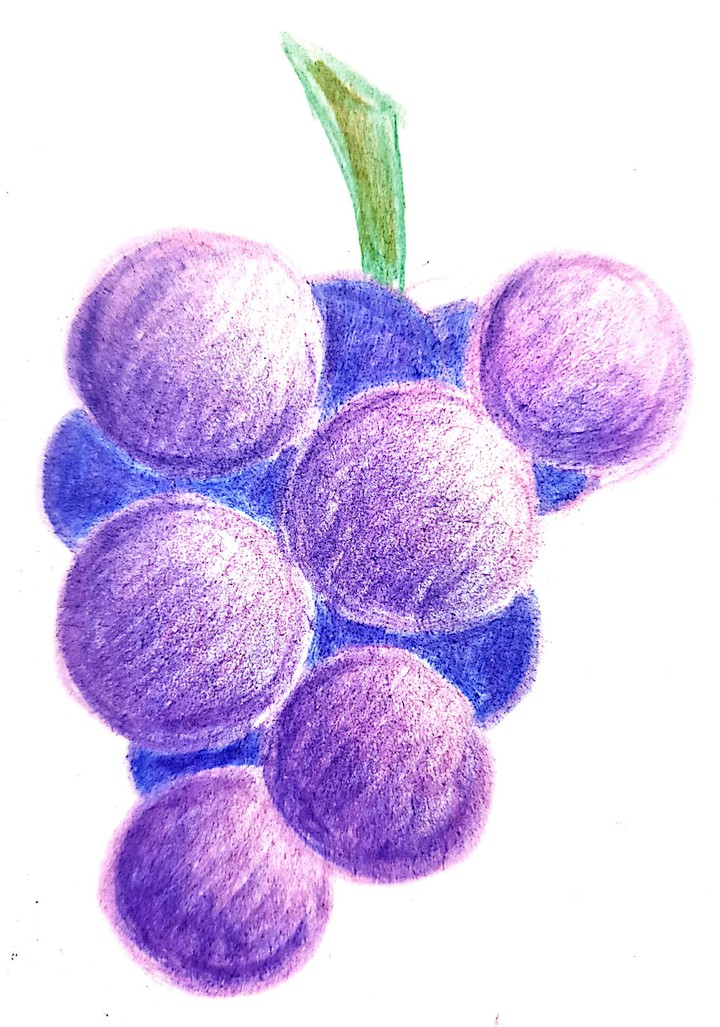 포도