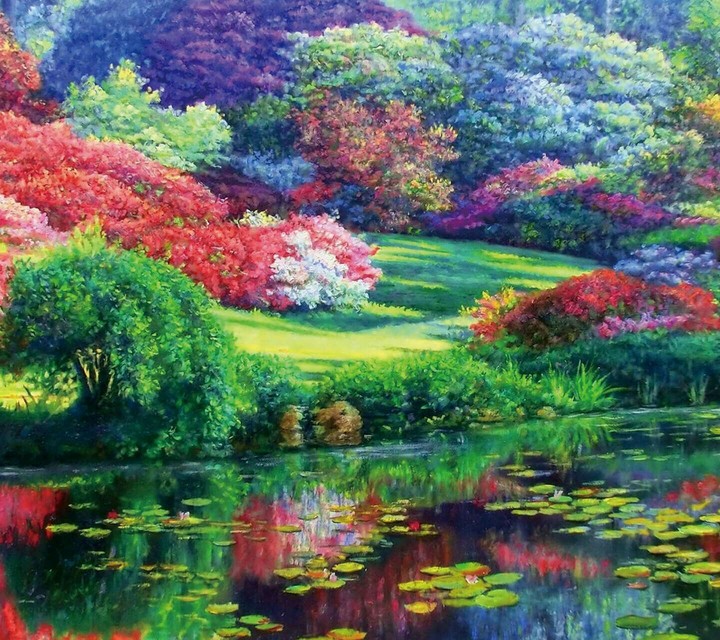 Colourful View