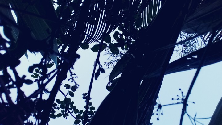 azul