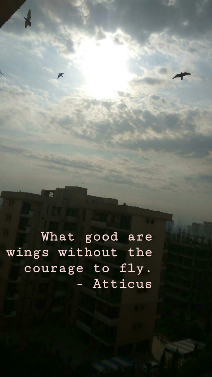 wings
