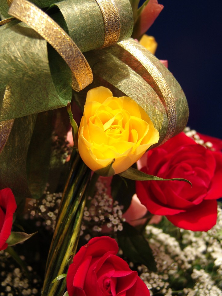 Flower