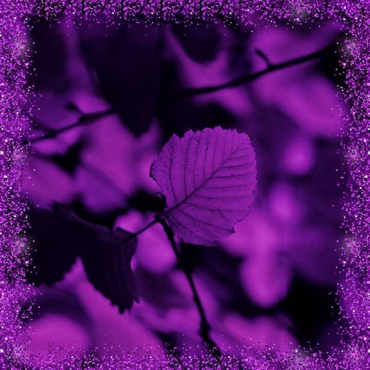 Purple of Halloween