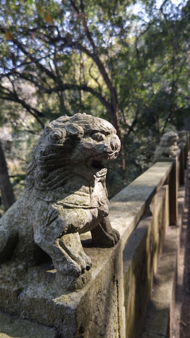 stone lion