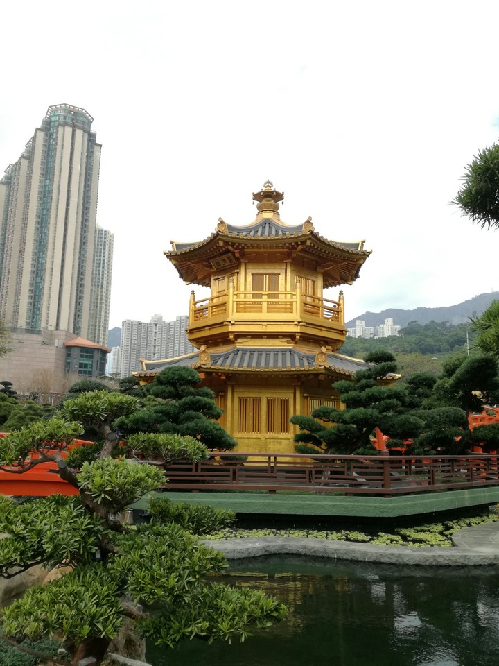 Gold in a forest of green