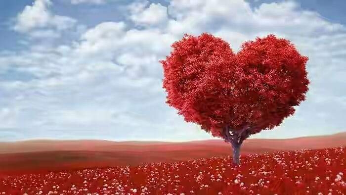 red Hart