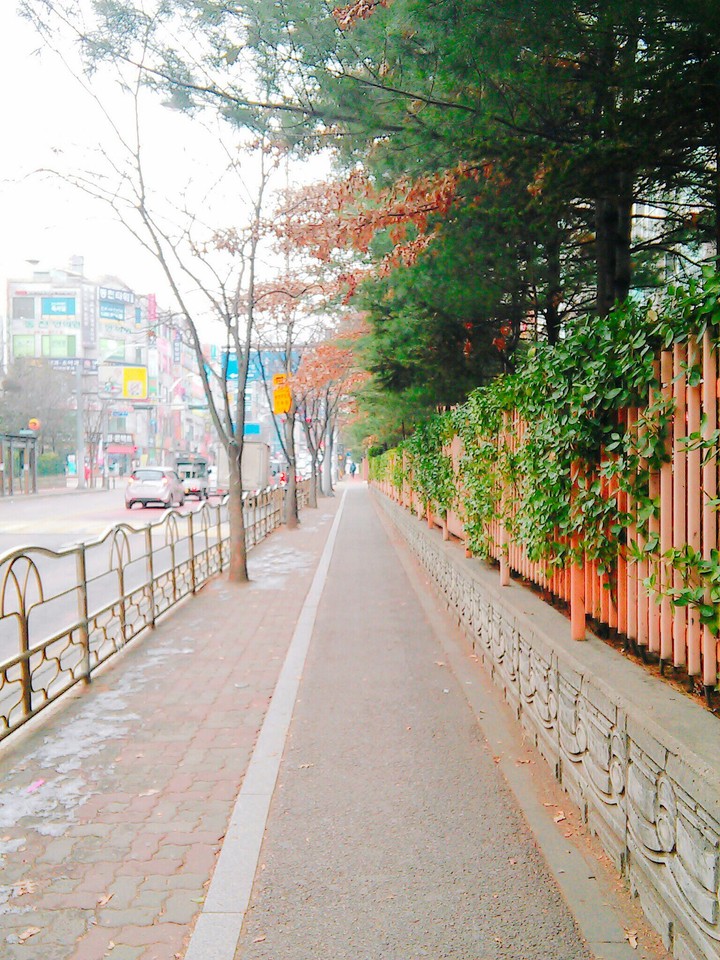 집으로