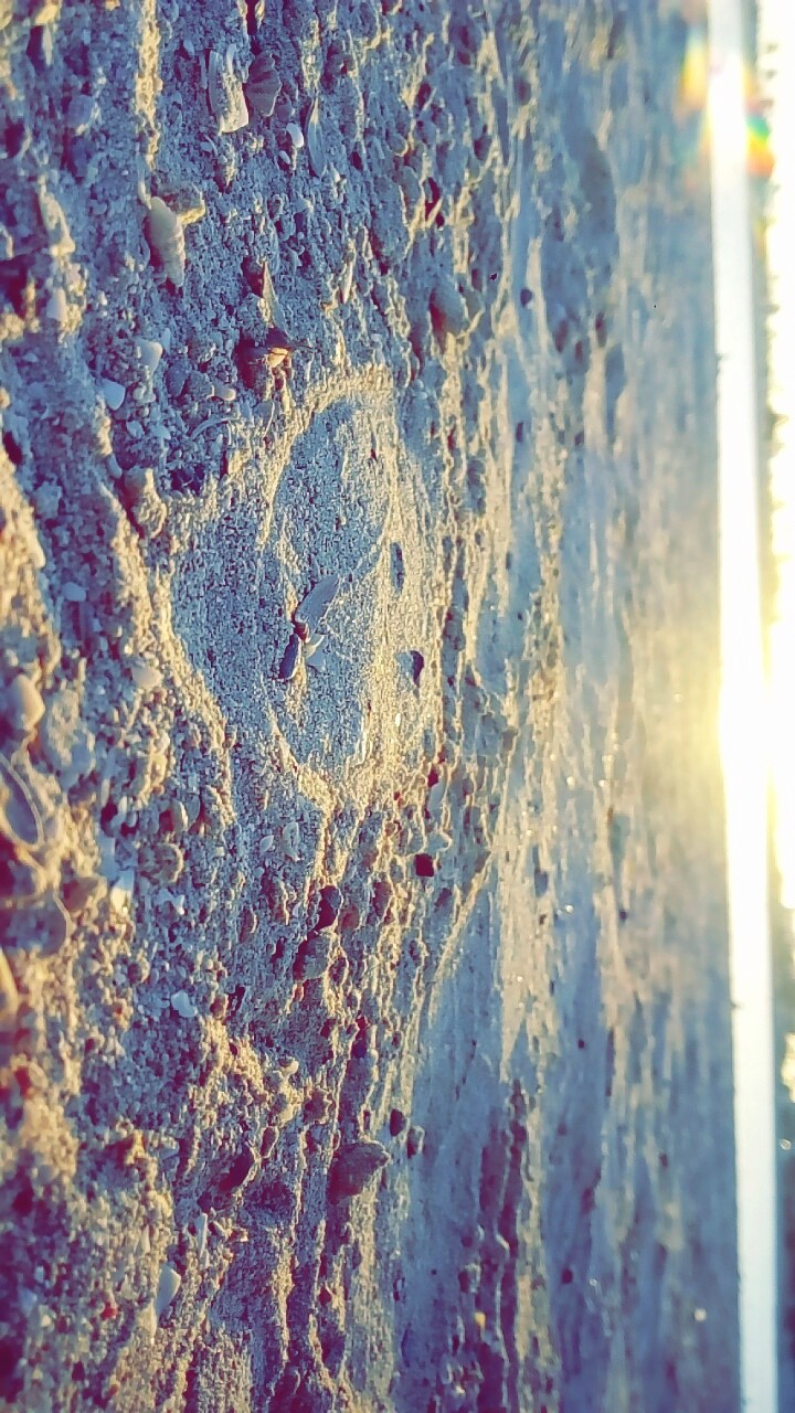 walking into the sun