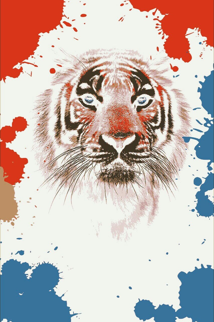 Tiger illusion