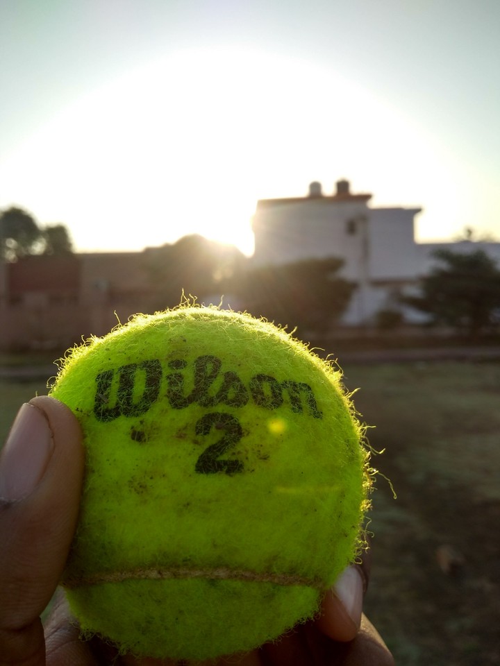 wilson ball