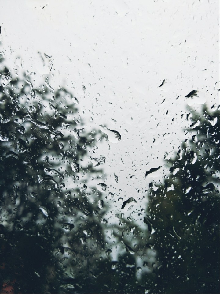 One day in August
