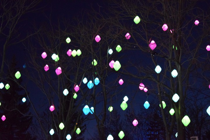 lights