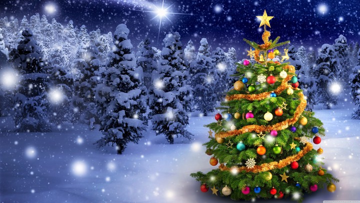 Merry Christmass❄❄???