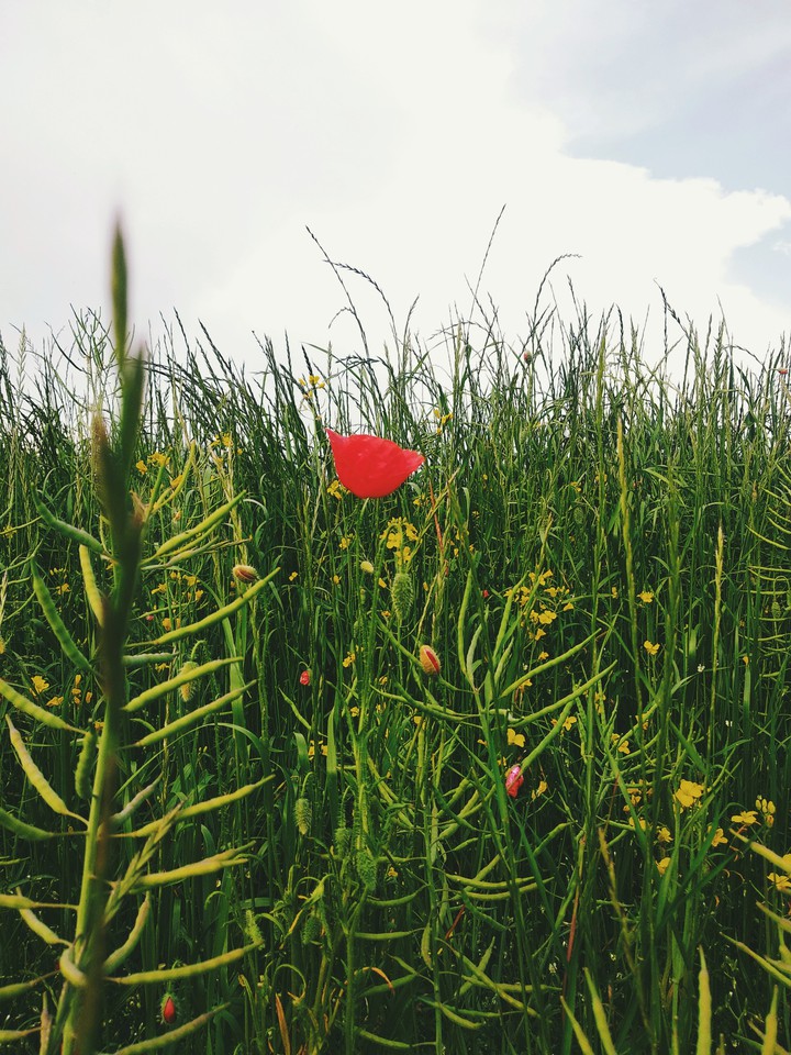 Summertime