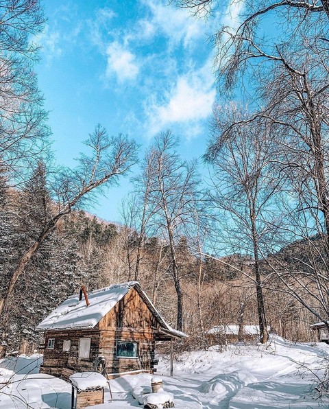 The Hut