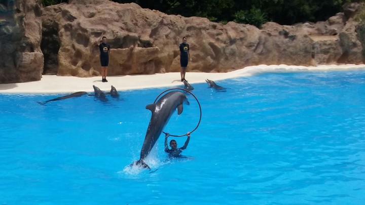 Loro Parque