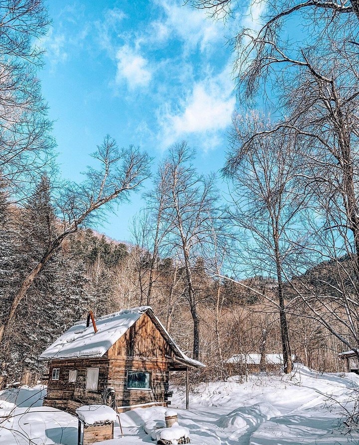 The Hut