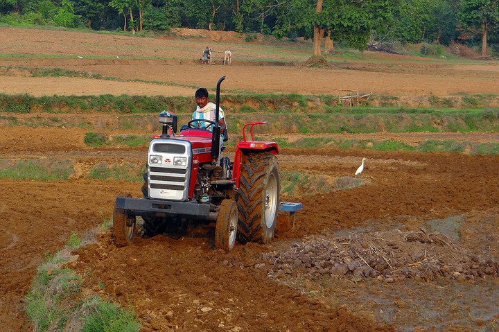 We are now nothing without our farmers